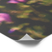 Nature and Flowers Photography Poster (Hoek)