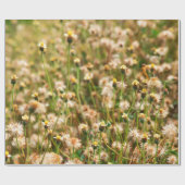 Nature background with grass flowerbackground, bea cadeaupapier (Vlak)