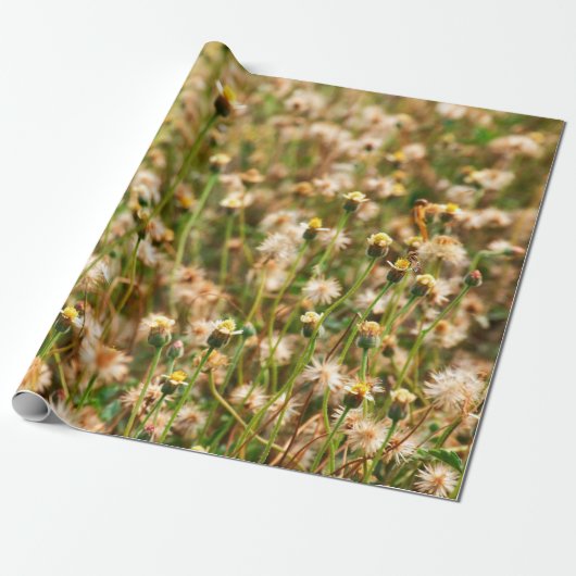 Nature background with grass flowerbackground, bea cadeaupapier (Uitgerold)