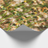 Nature background with grass flowerbackground, bea cadeaupapier (Hoek)