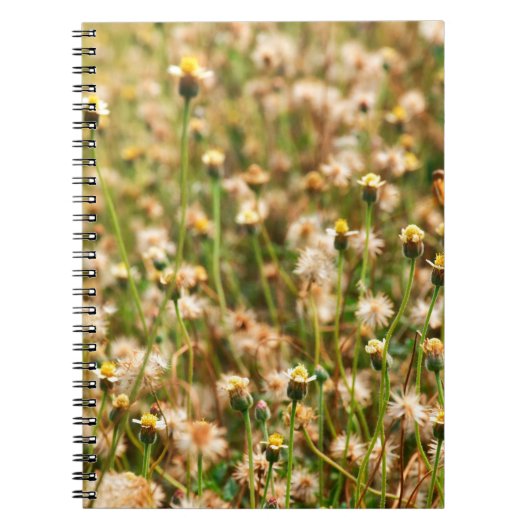 Nature background with grass flowerbackground, bea notitieboek (Voorkant)