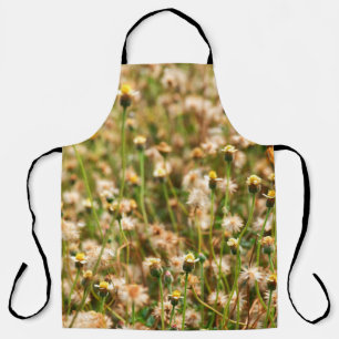 Nature background with grass flowerbackground, bea schort
