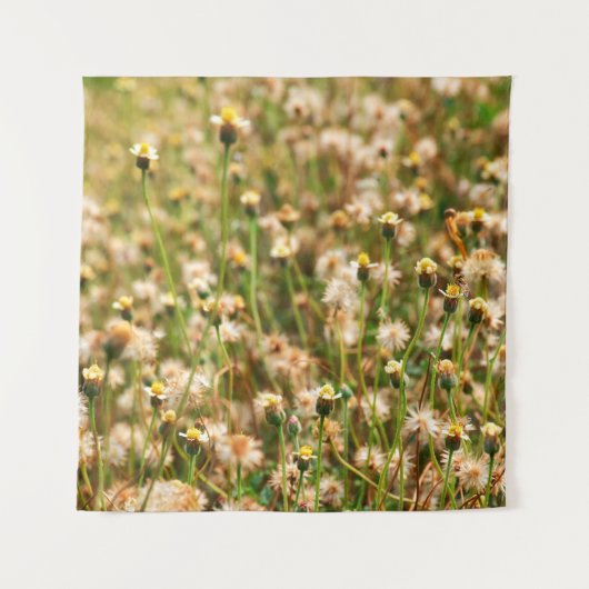 Nature background with grass flowerbackground, bea wandkleed (Voorkant)