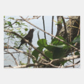 Nature Critters Wrapping Paper Sheets (Voorkant 2)