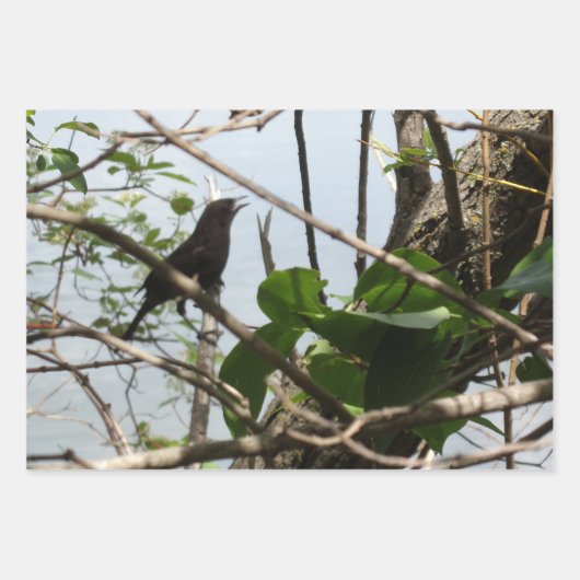 Nature Critters Wrapping Paper Sheets (Voorkant 2)