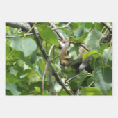 Nature Critters Wrapping Paper Sheets (Voorkant)