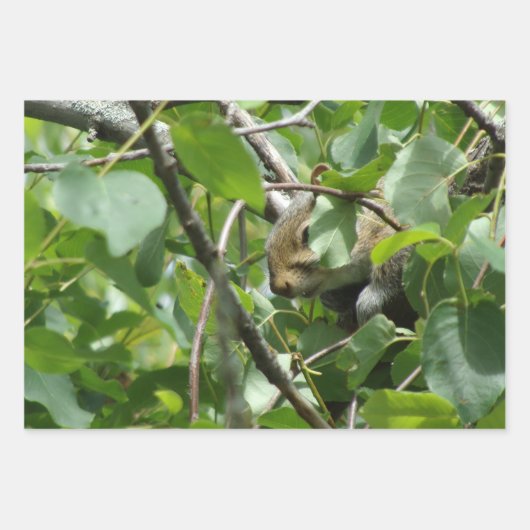 Nature Critters Wrapping Paper Sheets (Voorkant)