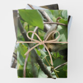 Nature Critters Wrapping Paper Sheets (In situ)