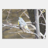 Nature Critters Wrapping Paper Sheets (Voorkant 3)