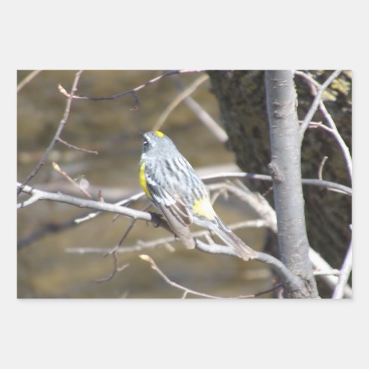 Nature Critters Wrapping Paper Sheets (Voorkant 3)