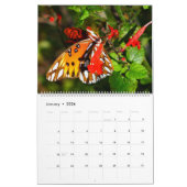 Nature in Florida Kalender (Jan 2026)