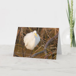 Nature inspired All occasion card Snowy Egret Bedankkaart
