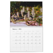 Nature Photo Paintings By Susan Kalender (Feb 2026)