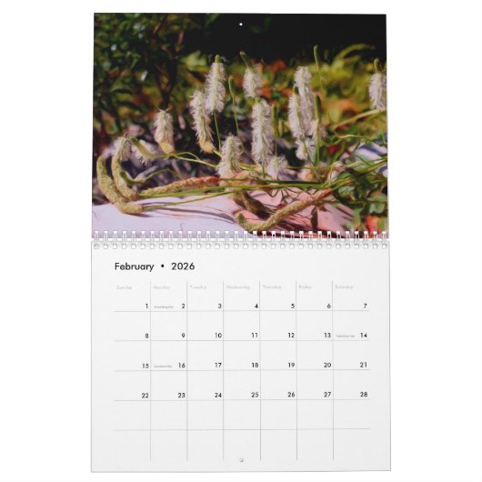 Nature Photo Paintings By Susan Kalender (Feb 2026)