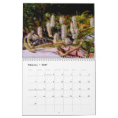 Nature Photo Paintings By Susan Kalender (Feb 2027)