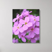 Nature Photography Canvas Print (Voorkant)