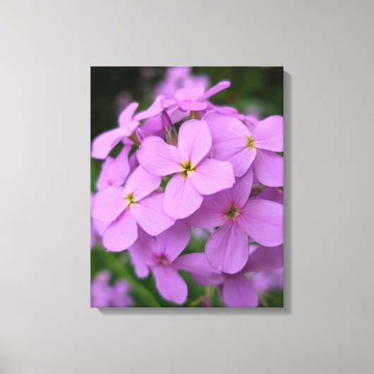 Nature Photography Canvas Print (Voorkant)