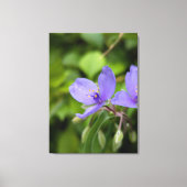 Nature Photography Canvas Print (Voorkant)