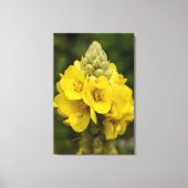 Nature Photography Canvas Print (Voorkant)