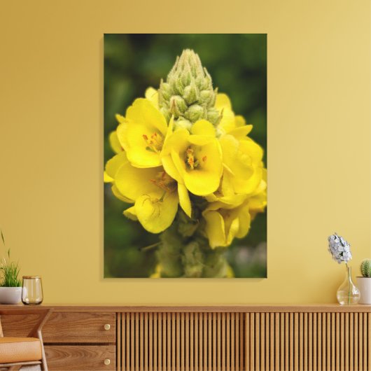 Nature Photography Canvas Print (Insitu (Woonkamer))