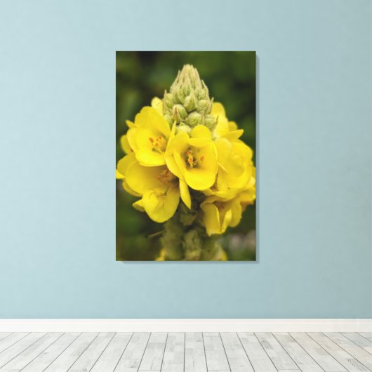 Nature Photography Canvas Print (Insitu (Houten vloer))