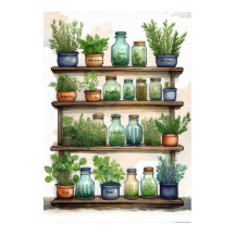 Nature’s Pantry: Herbs
