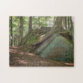 Nature’s Resilience Tree on Boulder Photographic Legpuzzel (Horizontaal)