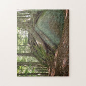 Nature’s Resilience Tree on Boulder Photographic Legpuzzel (Verticaal)
