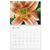Nature Scenes Calendar Kalender (Mar 2026)