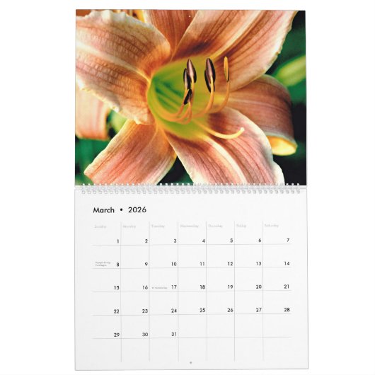 Nature Scenes Calendar Kalender (Mar 2026)