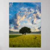 Nature Tree Green Grass Wild Blue Sky Summer Poster (Voorkant)