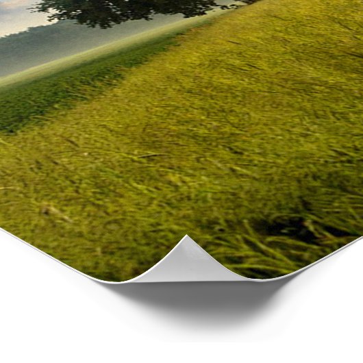 Nature Tree Green Grass Wild Blue Sky Summer Poster (Hoek)