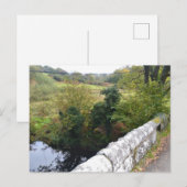 nature way of impersonating animalHoliday Postcard Feestdagenkaart (Voorkant / Achterkant)