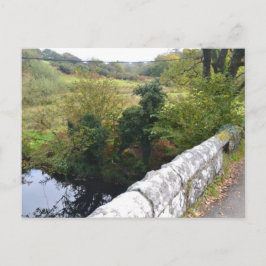 nature way of impersonating animalHoliday Postcard Feestdagenkaart