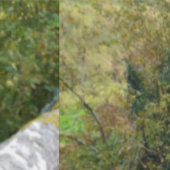 nature way of impersonating animals behang (Zoom)