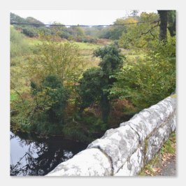 nature way of impersonating animals behang