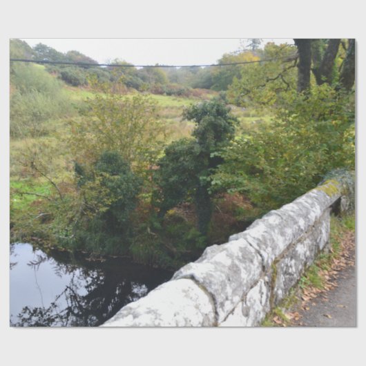 nature way of impersonating animals cadeaupapier (Vlak)