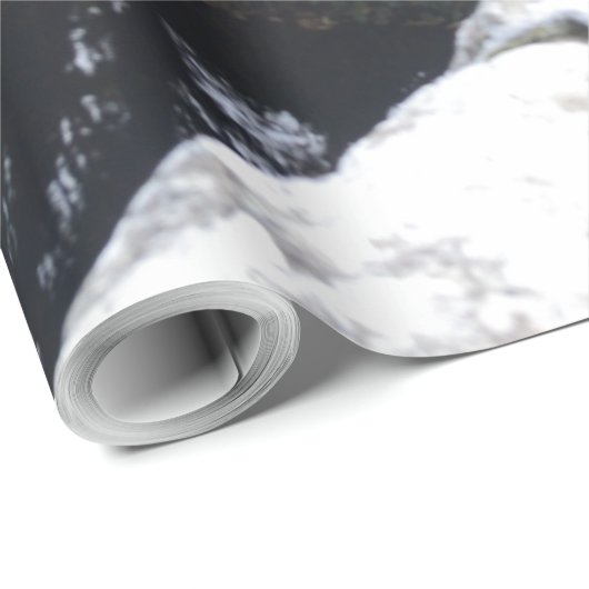 nature way of impersonating animals cadeaupapier (Rol Hoek)