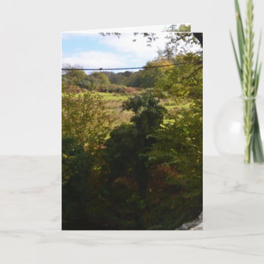 nature way of impersonating animals kaart (Voorkant)