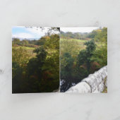 nature way of impersonating animals kaart (Binnen)