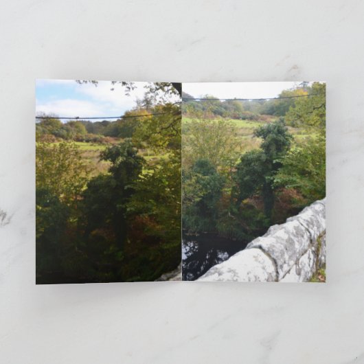 nature way of impersonating animals kaart (Binnen)