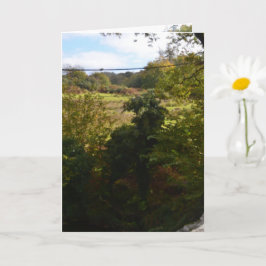 nature way of impersonating animals kaart