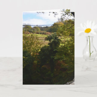 nature way of impersonating animals kaart