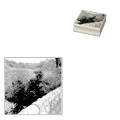 nature way of impersonating animals rubberstempel (Gestempeld)