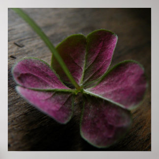 "naturelovesyou" Canvas Print