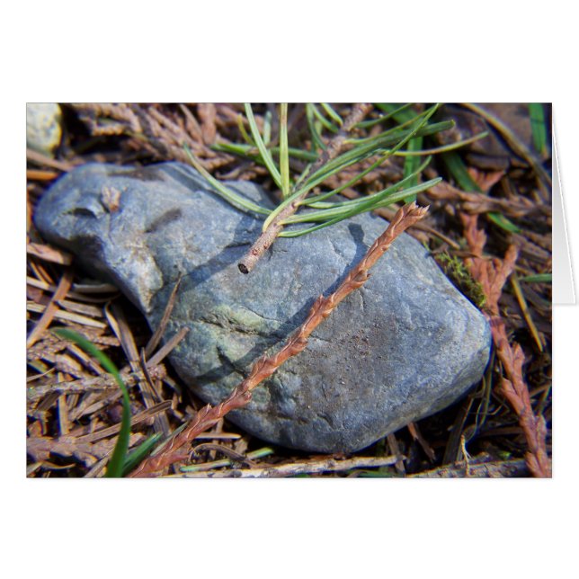 Naturen (Voorkant Horizontaal)