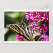 Naturen Beauty Briefkaart (Voorkant)