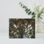Naturen Beauty Briefkaart (Staand voorkant)