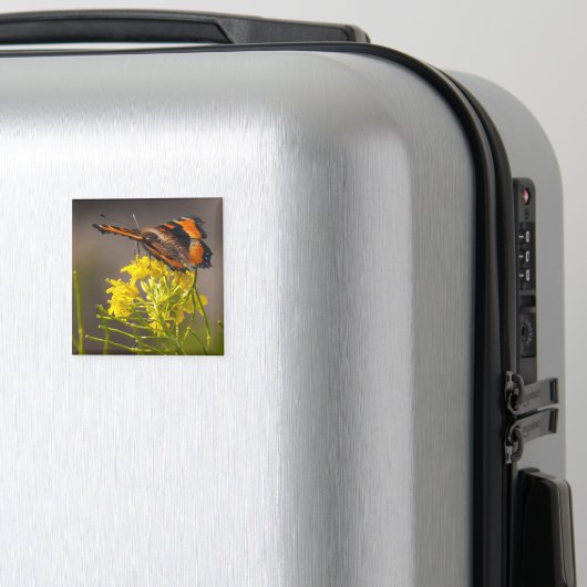 Naturen Beauty Milbert's Tortoiseshel Butterfly Magneet (Insitu (bagage))