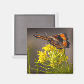 Naturen Beauty Milbert's Tortoiseshel Butterfly Magneet (Voorkant / Achterkant)